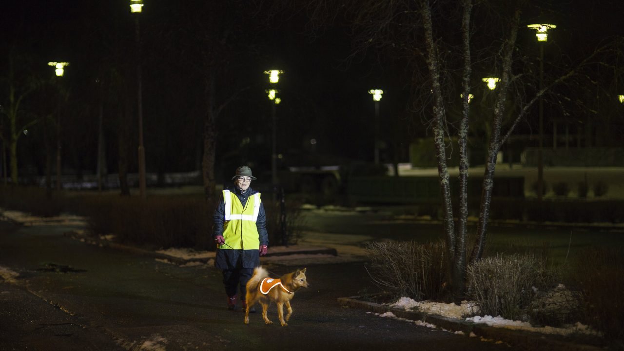 Nainen ja koira heijastinliivit päällä liikenteessä