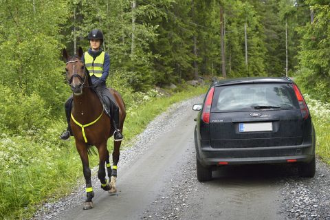 Ratsukko liikenteessä