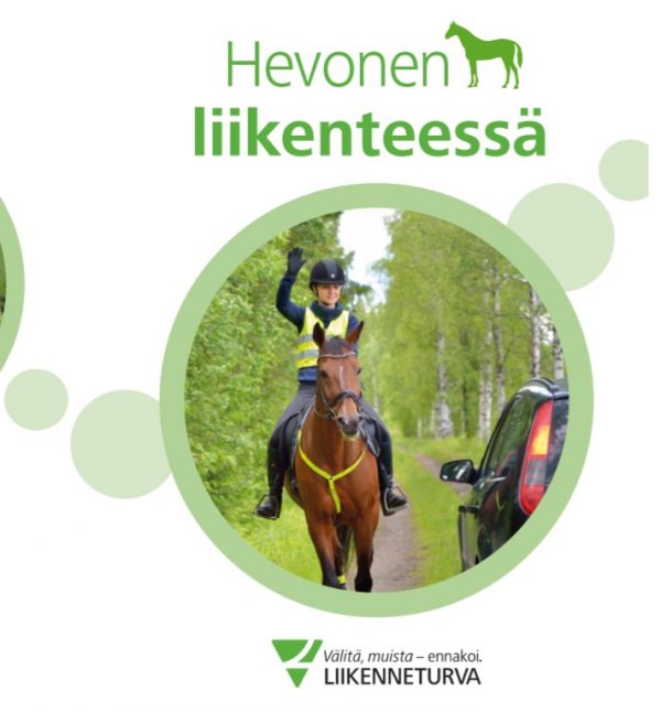 Hevonen liikenteessä esite