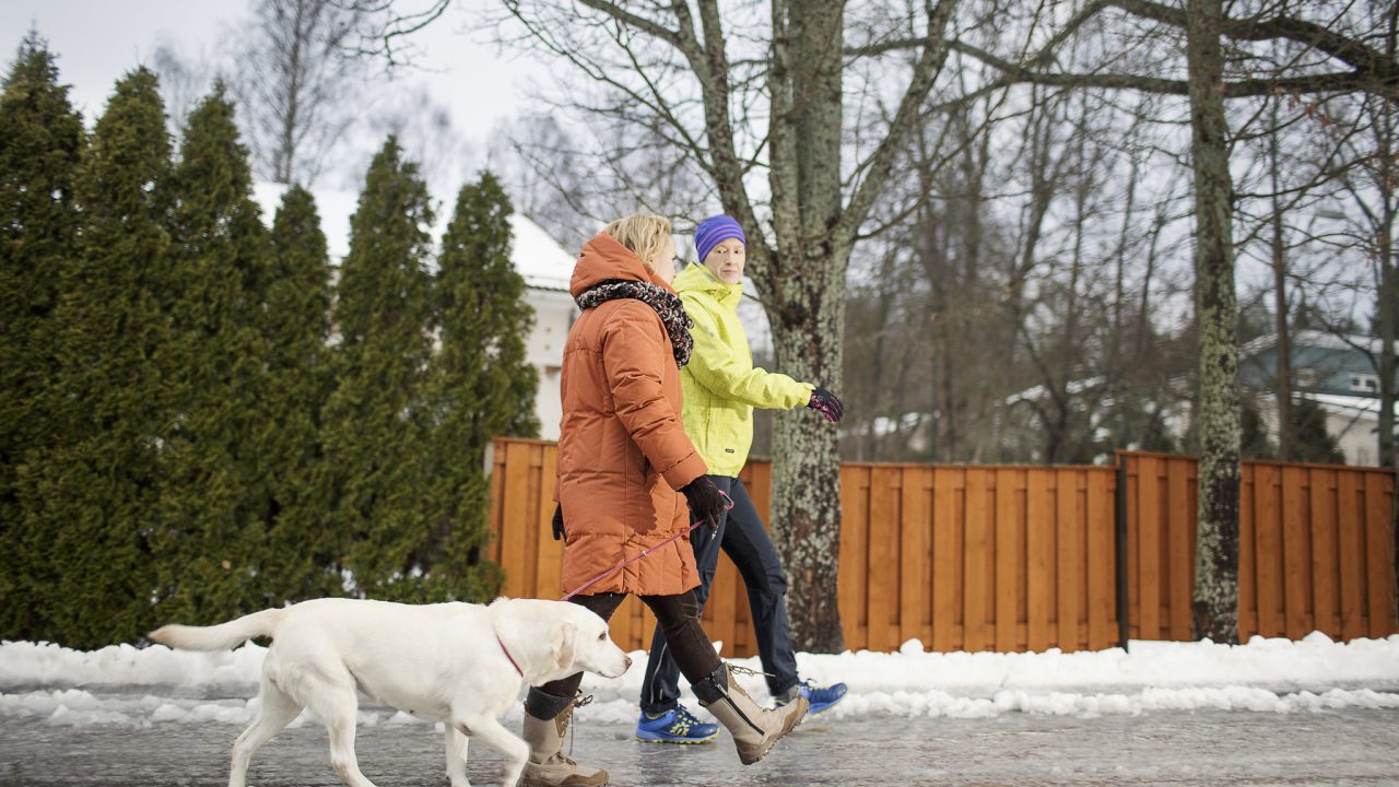 Kaksi kävelijää ja koira kävelevät liukkaalla tiellä nastakengät jaloissaan.