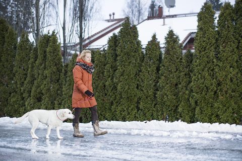 Kävelijä kävelee jäisellä tiellä koiran kanssa pystyssä pysyen.