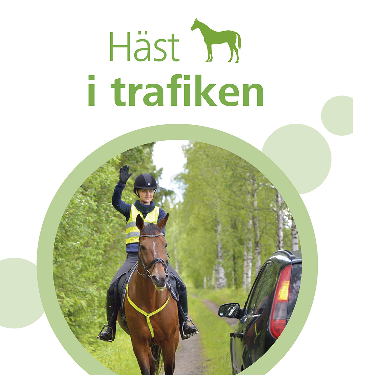 Häst i trafiken.
