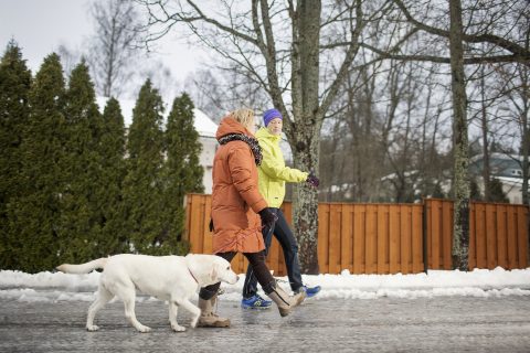 Kävelijät koiran kanssa ulkona.