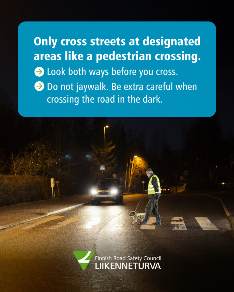 A pedestrian with a dog crossing the street.