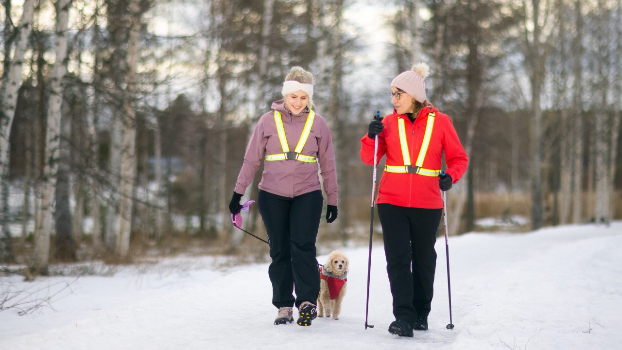 Kävelijät jäisellä tiellä, Pysy pystyssä -kampanjan kuvitusta.