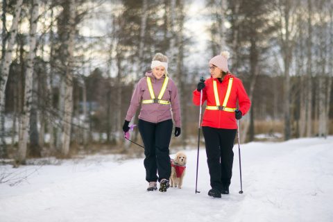 Kävelijät jäisellä tiellä, Pysy pystyssä -kampanjan kuvitusta.