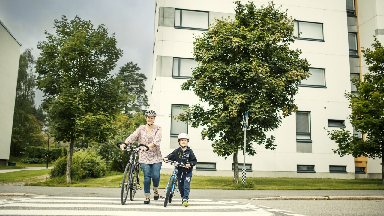 Aikuinen ja lapsi taluttavat pyöriään suojatien yli.