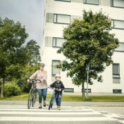 Aikuinen ja lapsi taluttavat pyöriään suojatien yli.